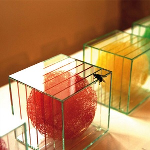 S�bastien Cr�teur