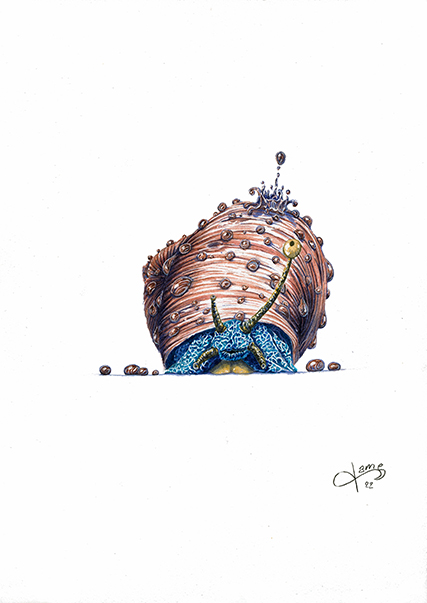 Escargot et gouttes d'eau